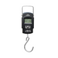 GLUN Portable Digital LED Luggage Weighing Scale